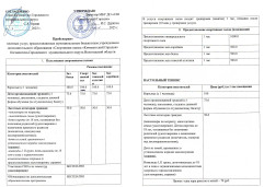 Платные услуги 1.